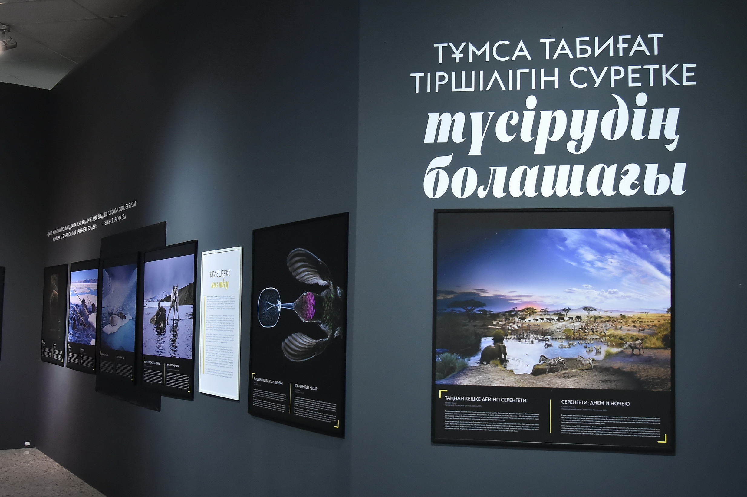 В Национальном музее РК открылась выставка журнала «National Geographic»